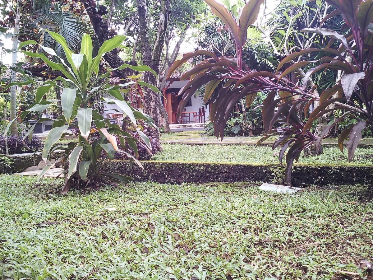 Madra Homestay Ubud  Exterior photo